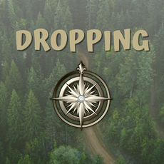 Dropping (eigen locatie)
