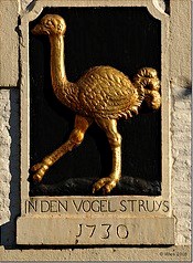 Den Ouden Vogelstruys in Maastricht