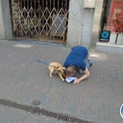 162) Crazy 88 (zonder horeca) *  (Eigen locatie)