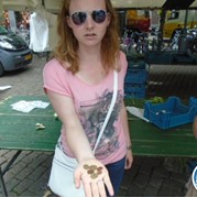 192) Crazy 88 (zonder horeca) *  (Eigen locatie)