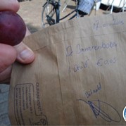 279) Crazy 88 (zonder horeca) *  (Eigen locatie)