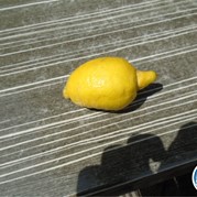 387) Crazy 88 (zonder horeca) *  (Eigen locatie)