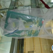 394) Crazy 88 (zonder horeca) *  (Eigen locatie)