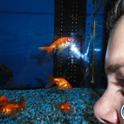 395) Crazy 88 (zonder horeca) *  (Eigen locatie)