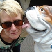 404) Crazy 88 (zonder horeca) *  (Eigen locatie)