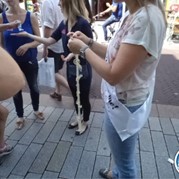 90) Bride vs Groom 's-Hertogenbosch