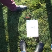 39) Wie ontdekt de Verrader? vrije locatie  (Eigen locatie)