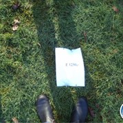 40) Wie ontdekt de Verrader? vrije locatie  (Eigen locatie)