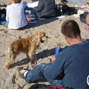 66) Speeddaten met collega's  (Eigen locatie)