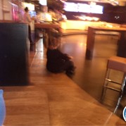 102) 80's / 90's Quiz  (Eigen locatie)