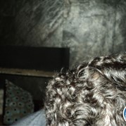 75) Minute to Win It! Diner spel Enschede