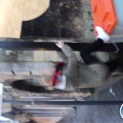 66) The Hangover Vrouwen Party  (Eigen locatie)