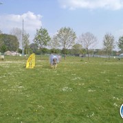 39) Bubbelbal / Bubble Voetbal  (Eigen locatie)