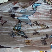 59) Gooische Vrouwen  Arnhem