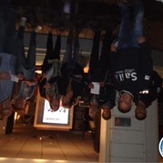 37) Walking Diner Zutphen