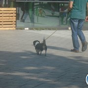 190) Escape in the City XXL   (Eigen locatie)