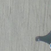 193) Escape in the City XXL   (Eigen locatie)