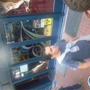 231) Escape in the City XXL   (Eigen locatie)