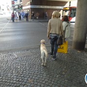 84) Escape in the City XXL   (Eigen locatie)