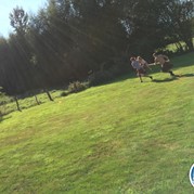 40) Highland Games  (Eigen locatie)