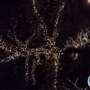 65) Levend Stratego (zonder horeca)  (Eigen locatie)