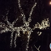 66) Levend Stratego (zonder horeca)  (Eigen locatie)