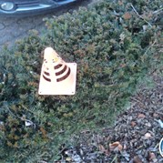 45) Fort Boyard  (Eigen locatie)