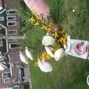 34) Sex in the City - Vrijgezellendag voor Vrouwen Volendam