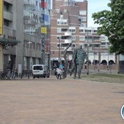 79) Social Media Game - The Social Network (zonder horeca)  (Eigen locatie)