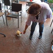 47) Gooische Vrouwen  Arnhem