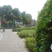 6) Flikken Maastricht Zwolle