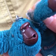 46) Secret Escape Game eigen locatie   (Eigen locatie)