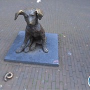 105) Levend Stratego (zonder horeca)  (Eigen locatie)