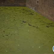 121) Levend Stratego (zonder horeca)  (Eigen locatie)