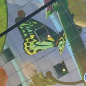 46) Levend Stratego (zonder horeca)  (Eigen locatie)