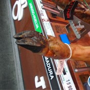 47) Levend Stratego (zonder horeca)  (Eigen locatie)