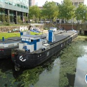 62) Levend Stratego (zonder horeca)  (Eigen locatie)