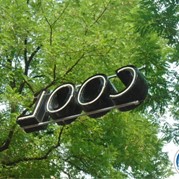 85) Levend Stratego (zonder horeca)  (Eigen locatie)