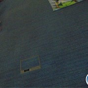 51) Levend Ganzenbord  (Eigen locatie)