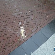 55) Moordtocht CSI Coldcase (zonder horeca) *  (Eigen locatie)