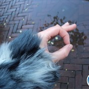 46) Get the Picture (zonder horeca)  (Eigen locatie)