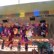 41) Crazy 88 (zonder horeca) *  (Eigen locatie)