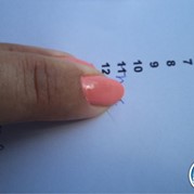 85) Crazy 88 (zonder horeca) *  (Eigen locatie)