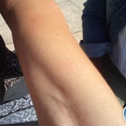 33) The Pain Game Scheveningen