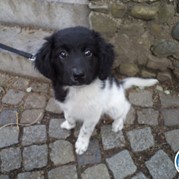 40) GPS Moordspel Maastricht