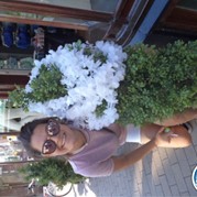 120) Sex in the City - Vrijgezellendag voor Vrouwen Groningen