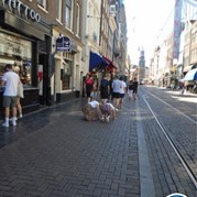 37) Foute Vrienden  Amsterdam