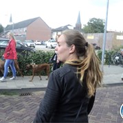 45) De Da Vinci Code   (Eigen locatie)