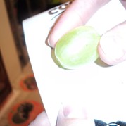 98) Walking Diner Nijmegen