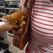 49) Gooische Vrouwen  Enschede